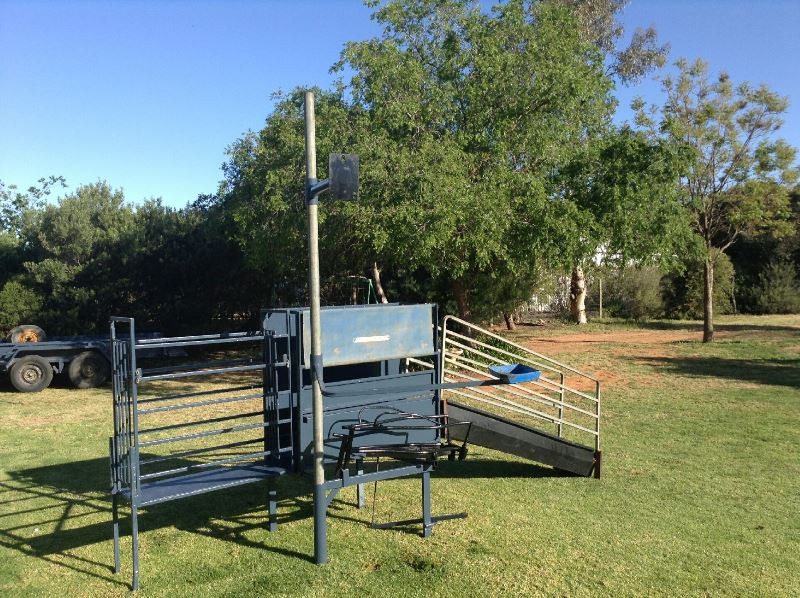 Harrignton Crutching Cradle Livestock Equipment Livestock